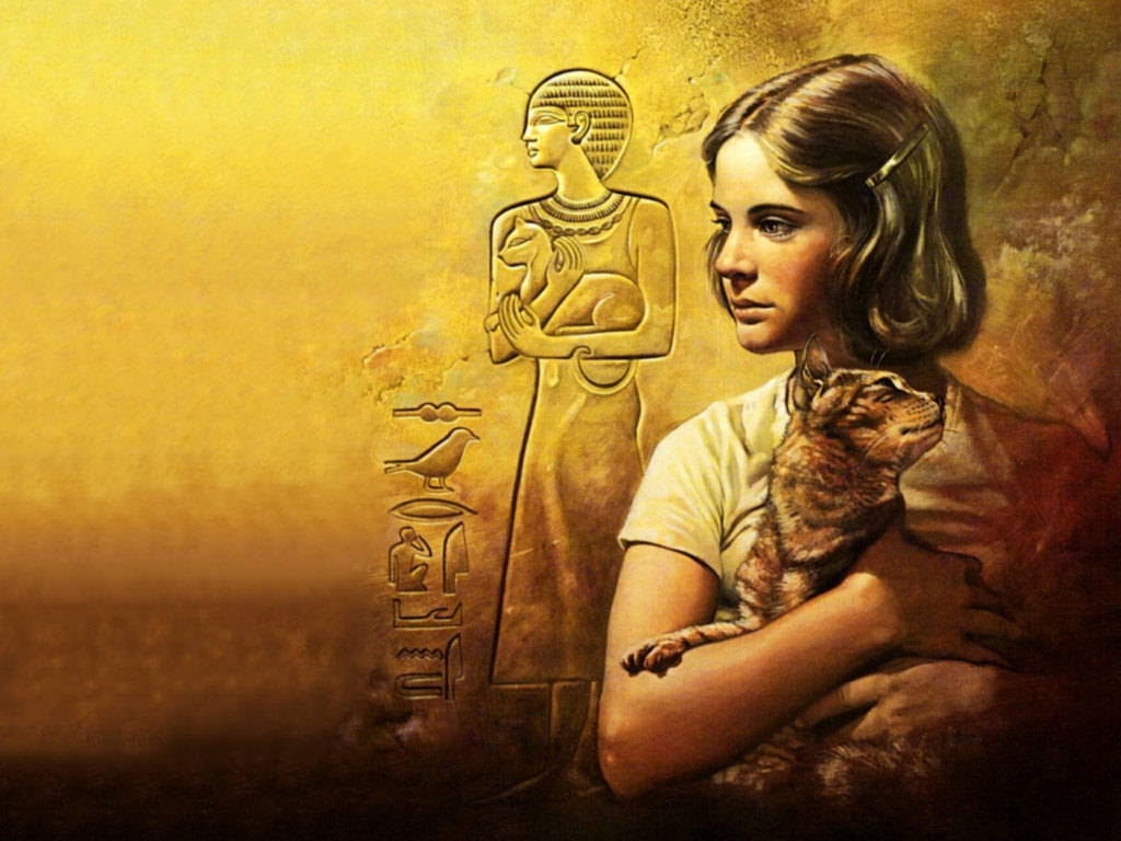 Фото взято из открытых источников