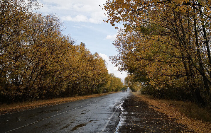   Изображение от wirestock на Freepik