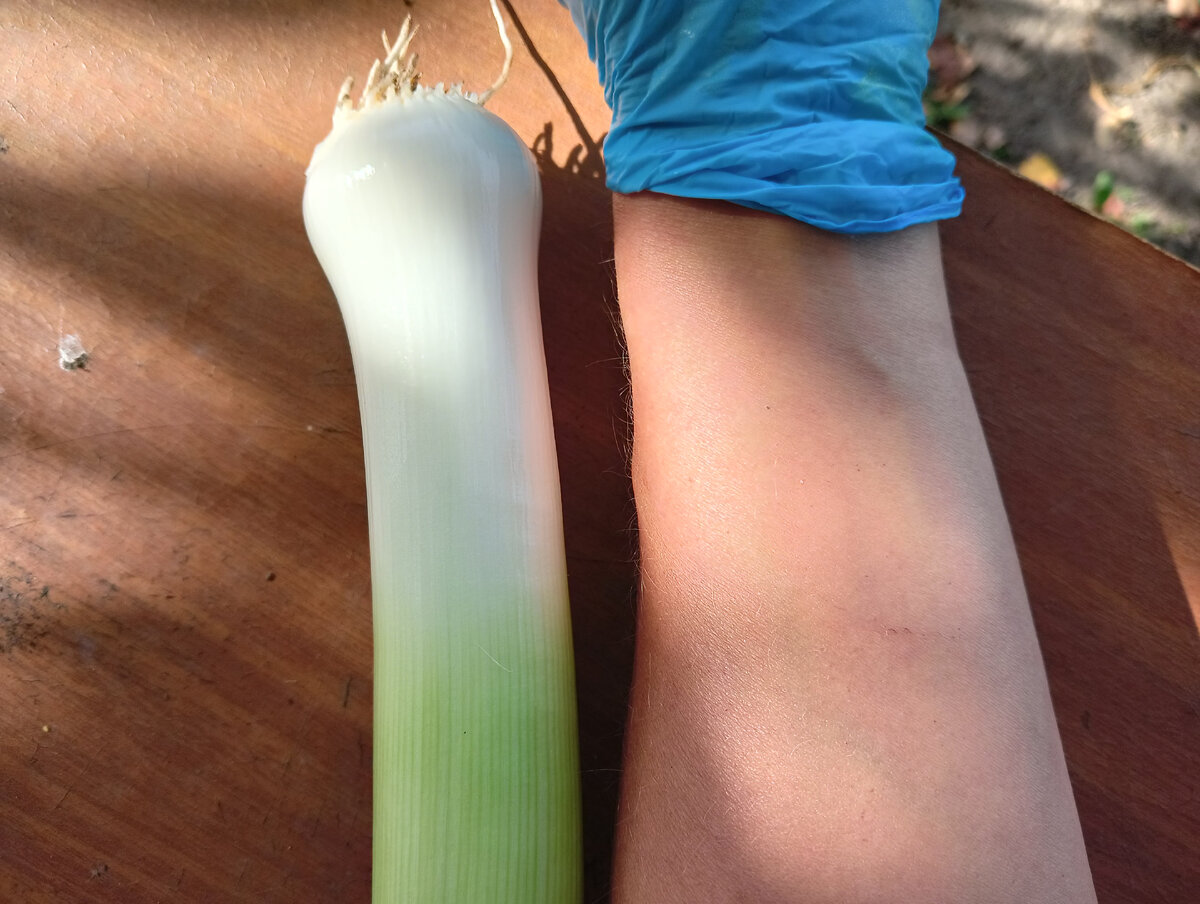 Показалось, что так, с рукой, нагляднее.😃