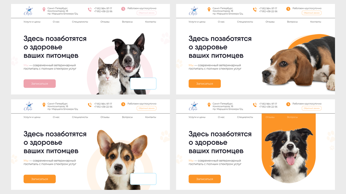 Как сделать многостраничный сайт для ветеринарной клиники? | Croco. Agency  | Дзен