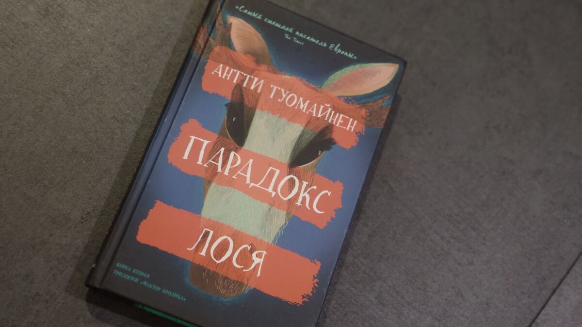 Твердая обложка с занимательным сюжетом. Издательство «Синдбад»