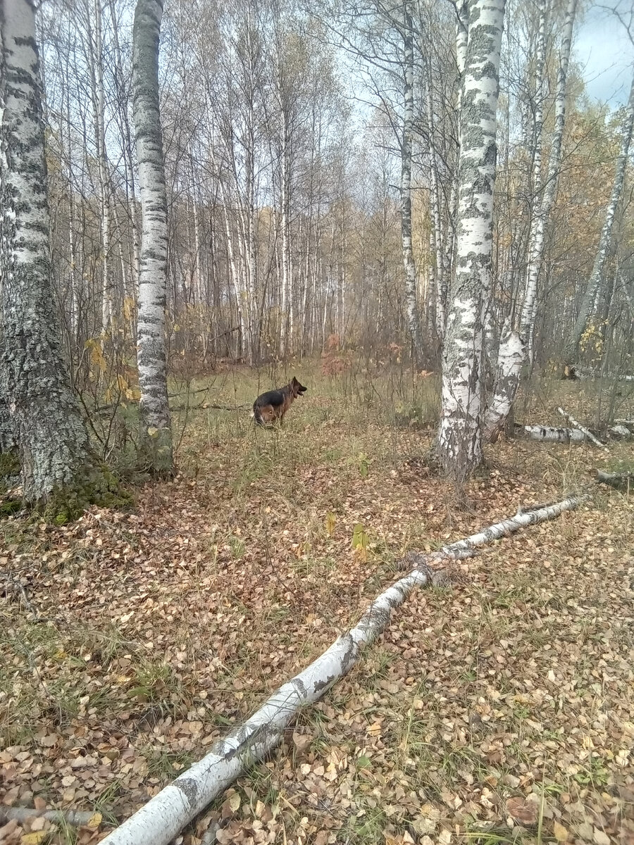 Фото автора. 