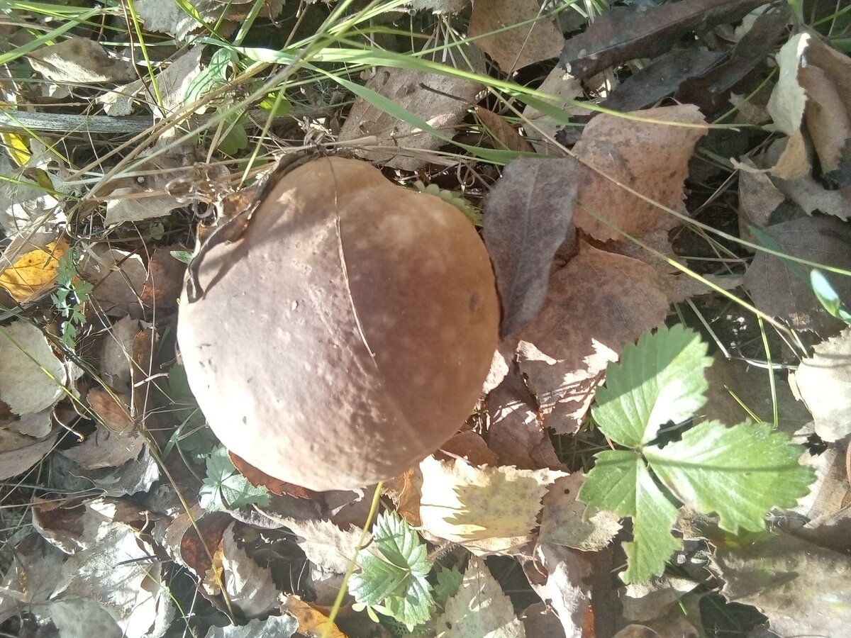 Фото автора. 