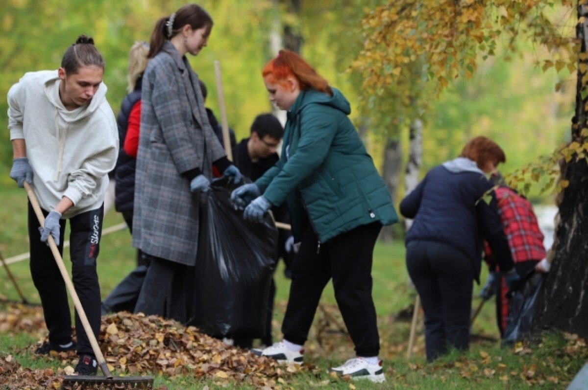   462 тонны мусора собрали во время общегородского субботника в Иркутске