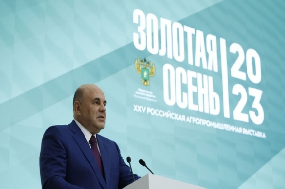    Травников представил Мишустину Сузун как пример успешного развития села