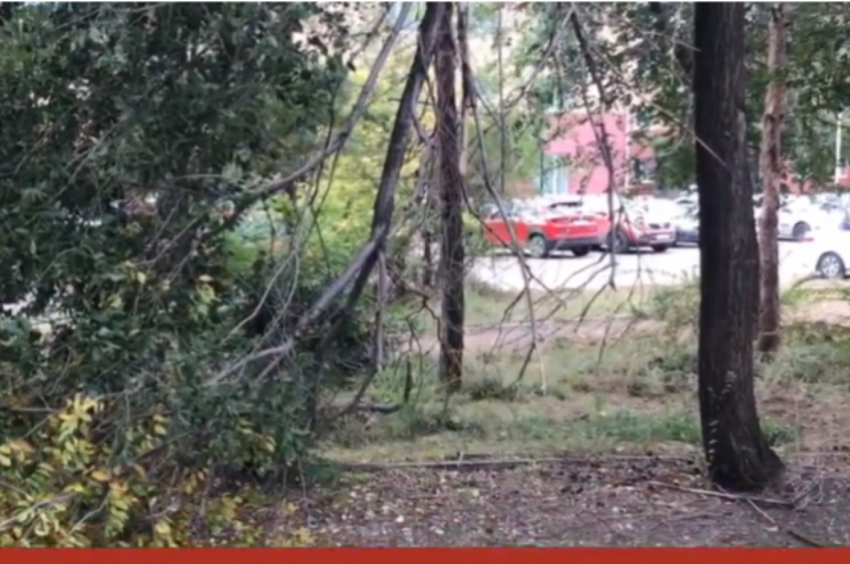    В Оренбурге ряд сквером находится в запущенном состоянии