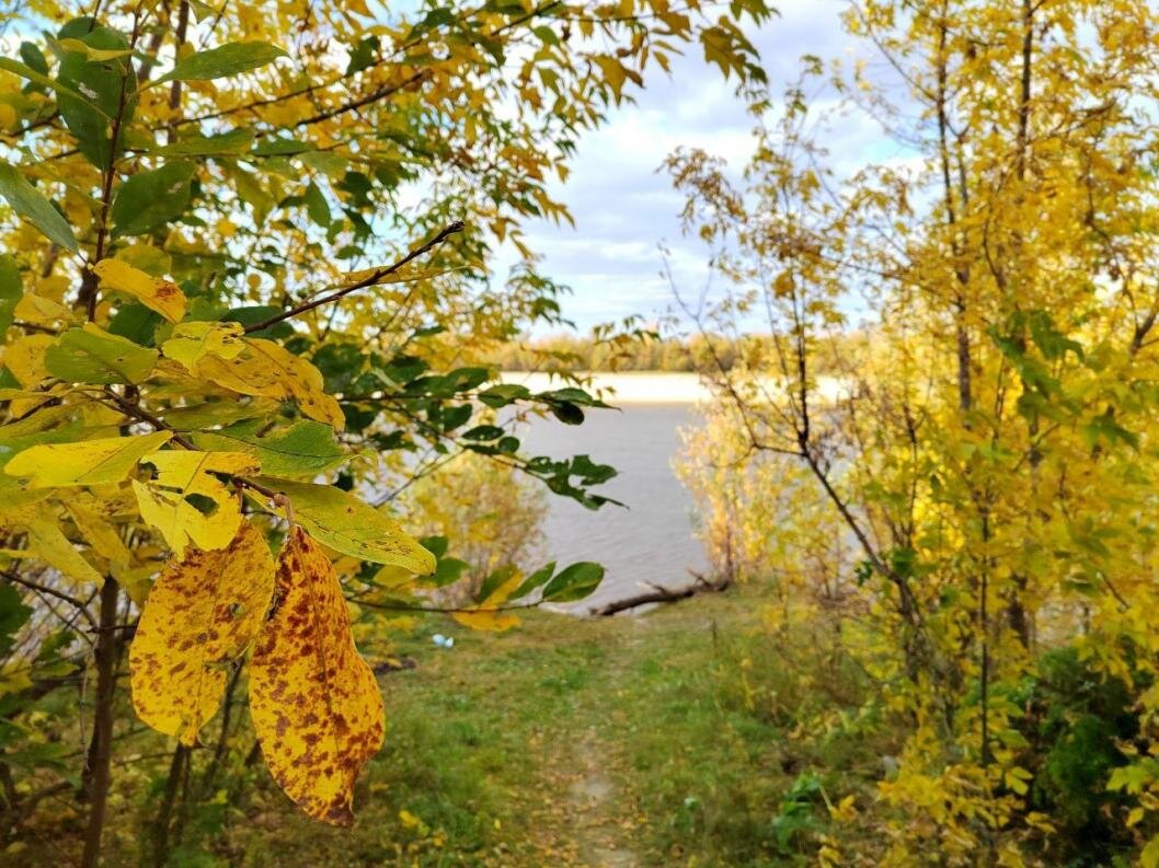 Фото: ИА "Тюменская линия"