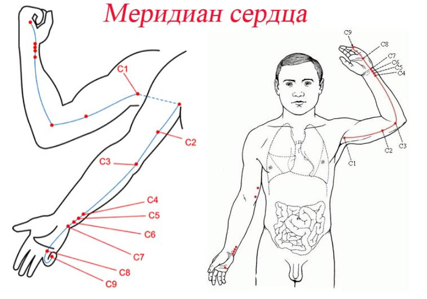 Точка расположение. Точки меридиана сердца на руке. Меридиан сердца в китайской медицине точки. Меридиан сердца точки расположения. Меридиан сердца акупунктурные точки.