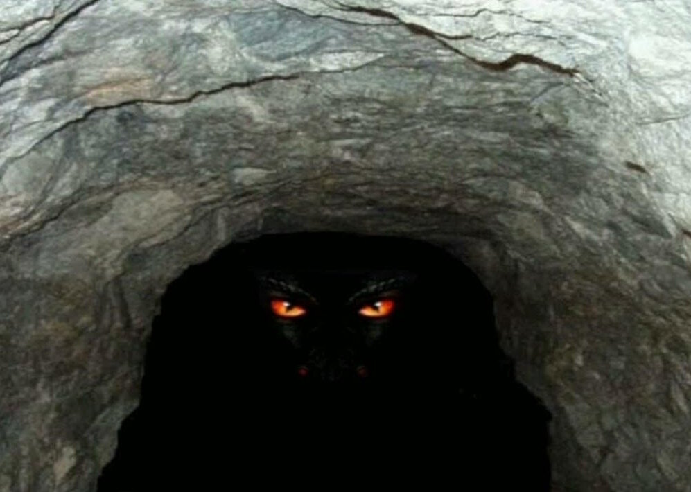 Кто обитает в "Пещере страха"?
Источник фото: https://i.ytimg.com/vi/3ol0k8Rszck/maxresdefault.jpg?sqp=-oaymwEmCIAKENAF8quKqQMa8AEB-AH-CYAC0AWKAgwIABABGGUgZShTMA8=&rs=AOn4CLBS2xhpWspIg1gcIu6QqrmOaiStDg