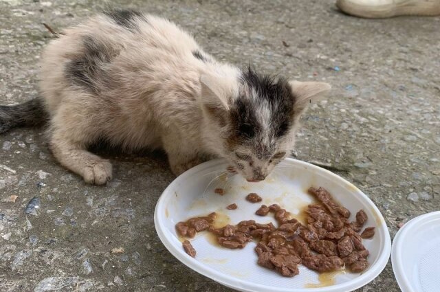    Фото: Предоставлено героем публикации