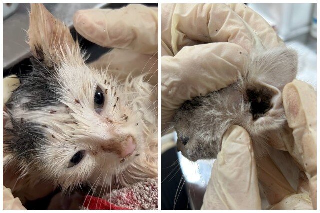    Фото: Предоставлено героем публикации