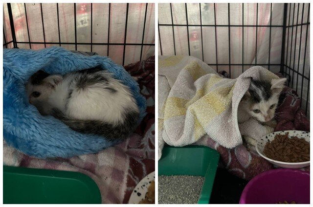    Фото: Предоставлено героем публикации