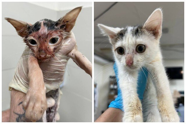    Фото: Предоставлено героем публикации