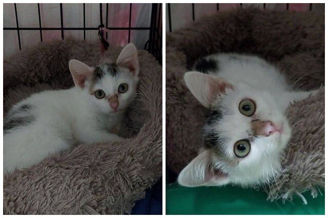    Фото: Предоставлено героем публикации