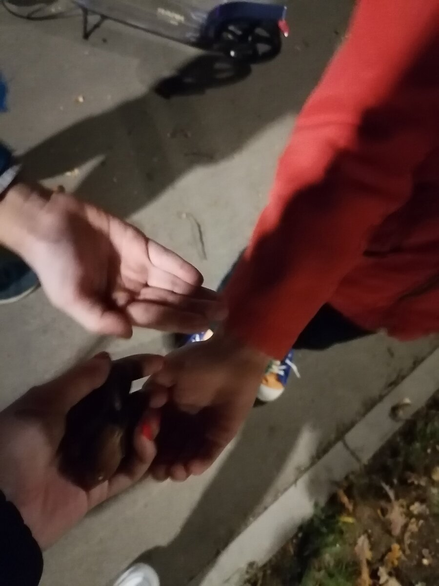 -2-2