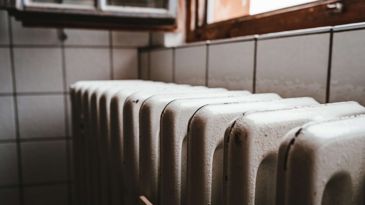    Фото: Unsplash Рашид Ахмежанов