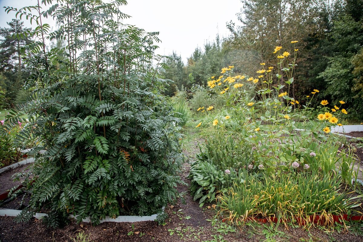    В Югре разработают единый алгоритм работы сообщества добровольцев науки