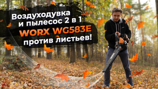 Воздуходувка - пылесос 2 в 1! Уборка листьев с WORX WG583E