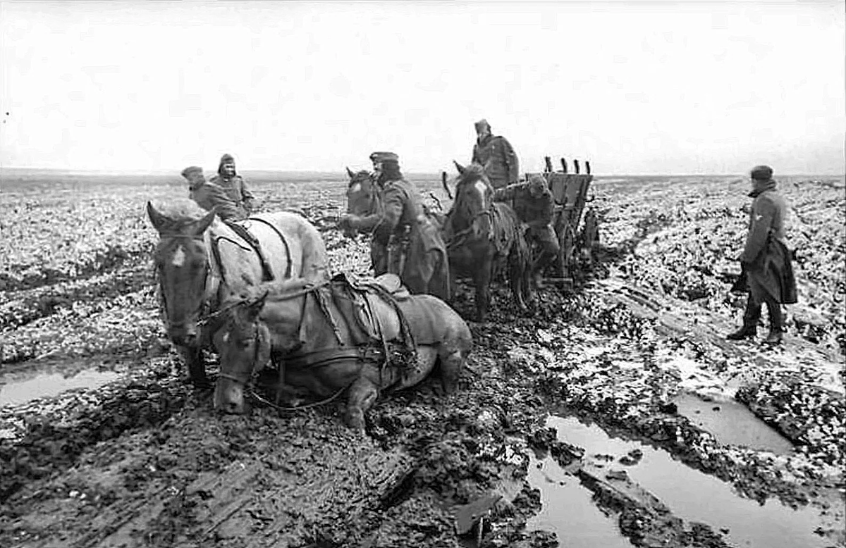 Лошади во время великой отечественной войны презентация