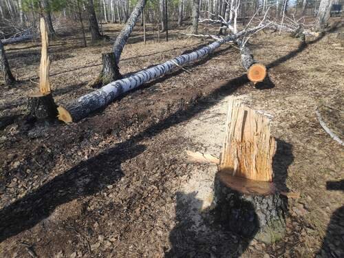 Прокуратура Тюменской области📷
