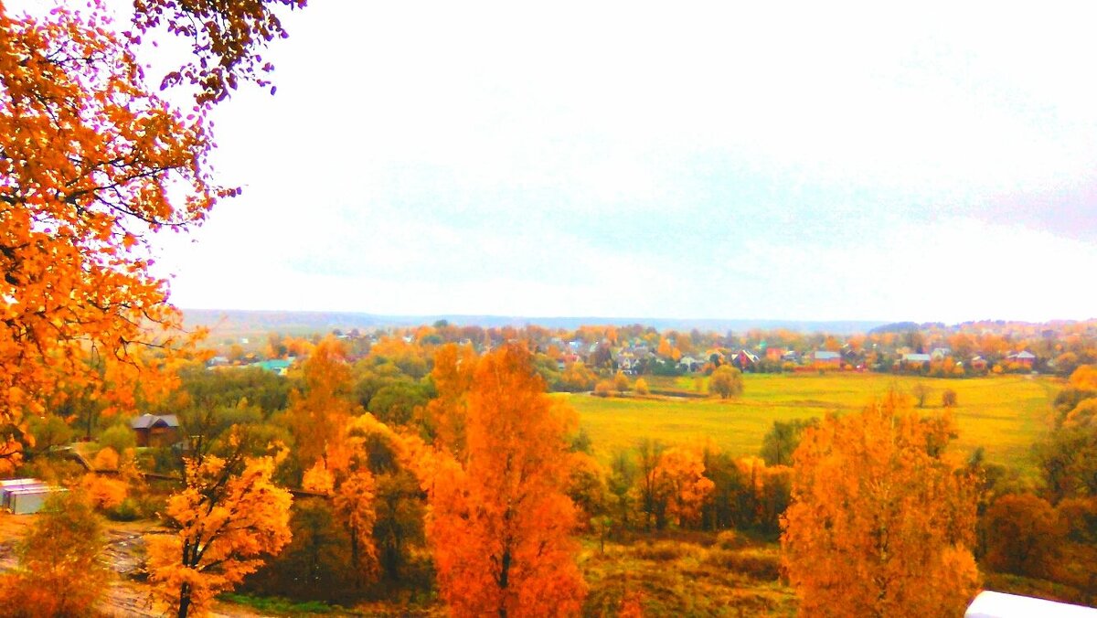 Осень и летние велопрогулки. | Марья Петровна. | Дзен