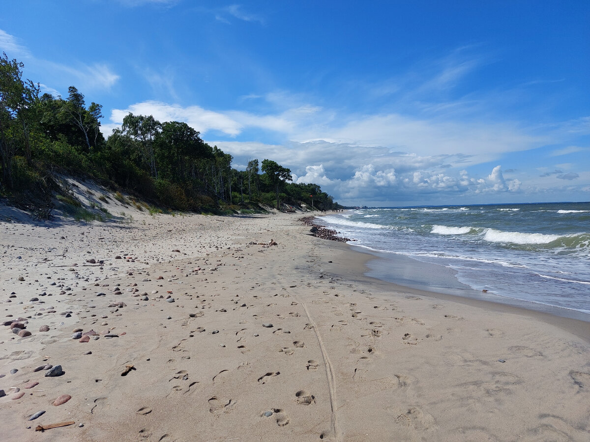 Дикий пляж в Зеленоградске