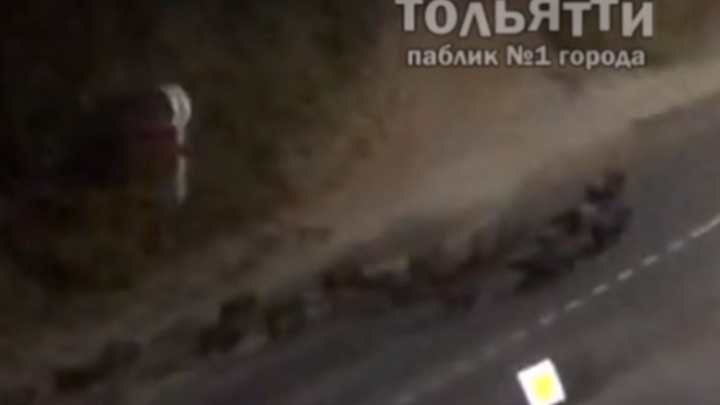 ФОТО: СКРИНШОТ ТЕЛЕГРАМ-КАНАЛ ТОЛЬЯТТИ