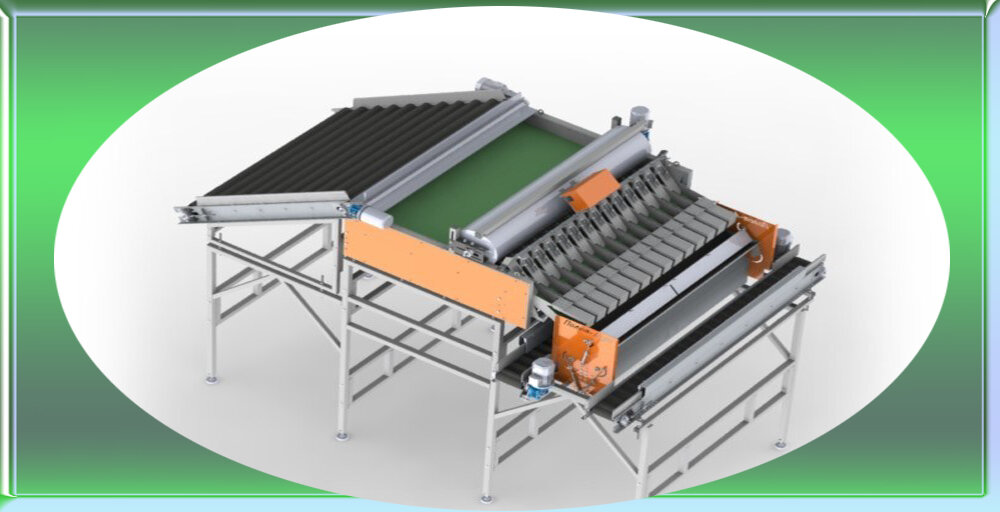 Линия фасовки апельсинов