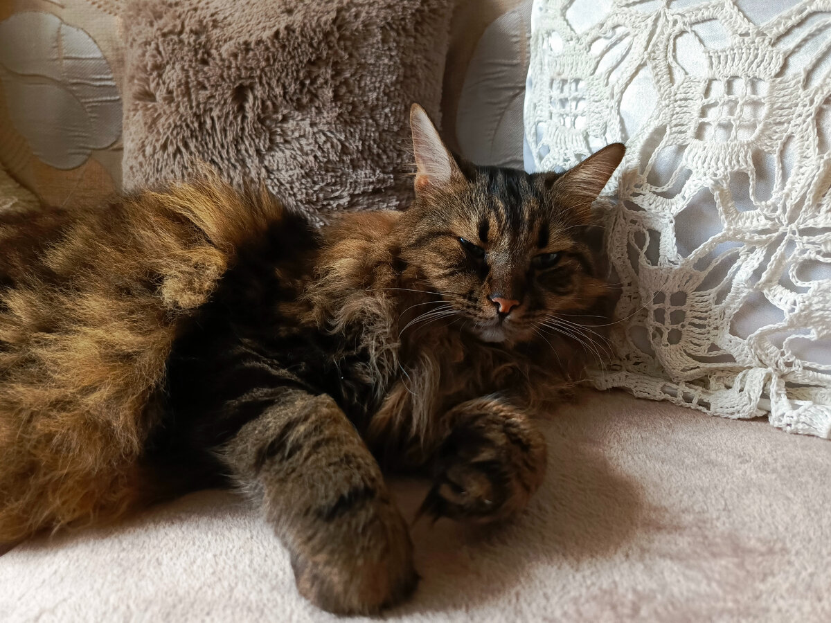 Продумываю план мести