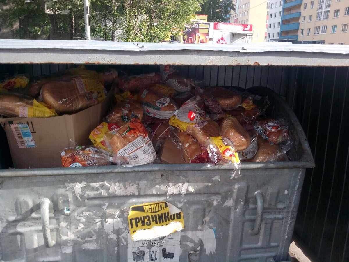 Списанные вещи. Хлеб в мусорке. Продукты на помойке. Свалки с просроченными продуктами. Продукты на свалке