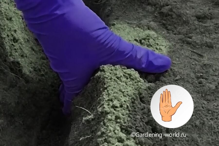 Жест, с помощью которого определите глубину посадки.