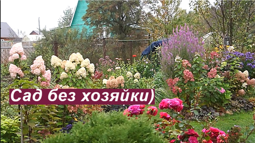 Интернет-магазин товаров для дома, сада и дачи. Купить товары в Белгороде
