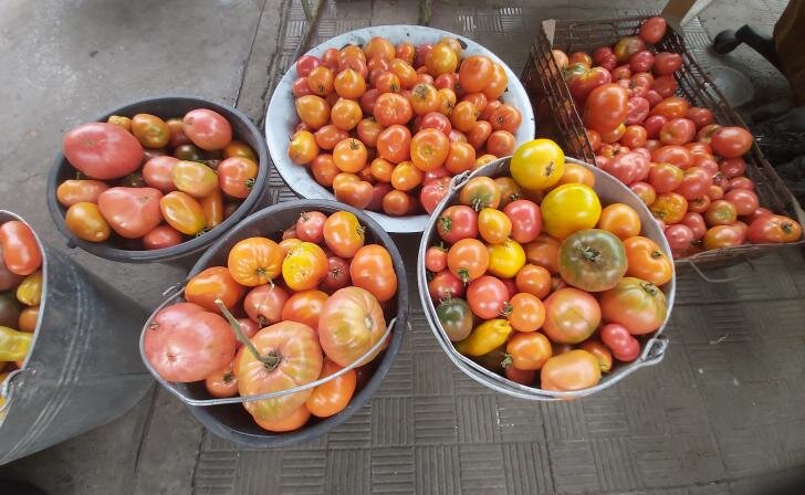    фото Курские известия