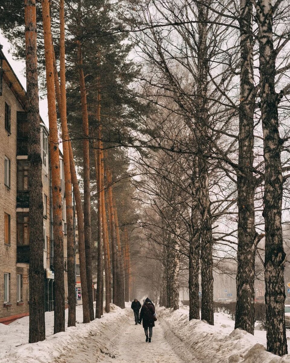 Аллея, на которой умерла моя мама