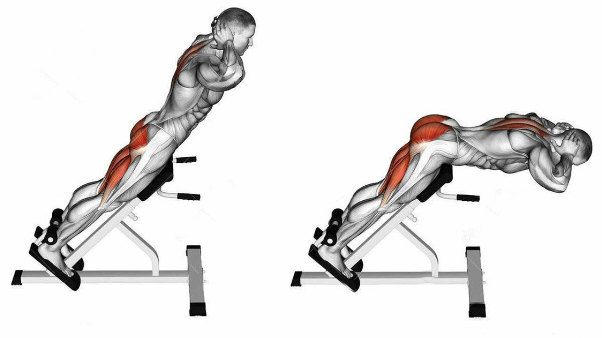 Как делать гиперэкстензию, чтобы накачать мышцы и не навредить спине - Лайфхакер