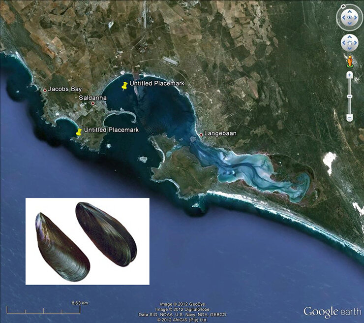 Первые точки пробоотбора (желтый цвет) в южноафриканской акватории