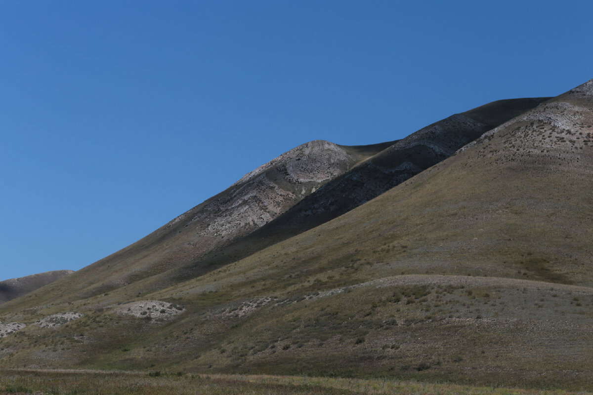 Июньский рассвет. Утро 5 июля. Тихое летнее утро. Утро 5 июля. Августовские полевые цветы.