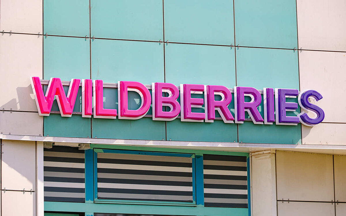    Wildberries начал строительство логоцентра в Воронежской области за 10 млрд рублей с запозданием Фото с сайта tochka.by