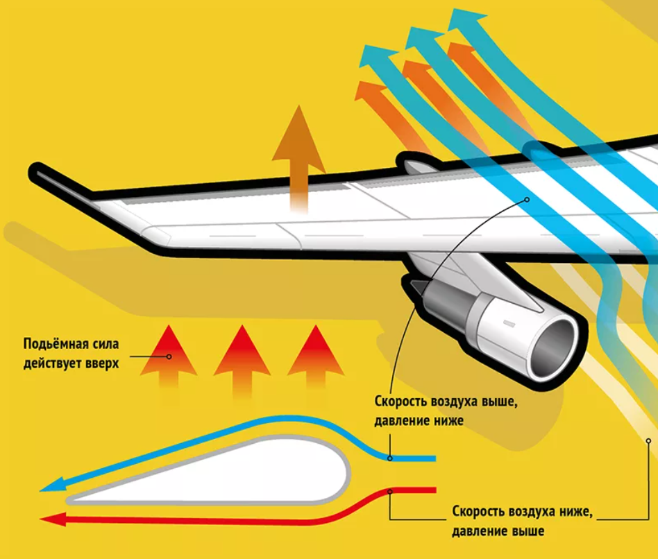 Эдс на концах крыльев самолета. Аэродинамика крыла самолета подъемная сила. Принцип подъемной силы крыла самолета. Крыло самолета аэродинамика. Принцип работы крыла.