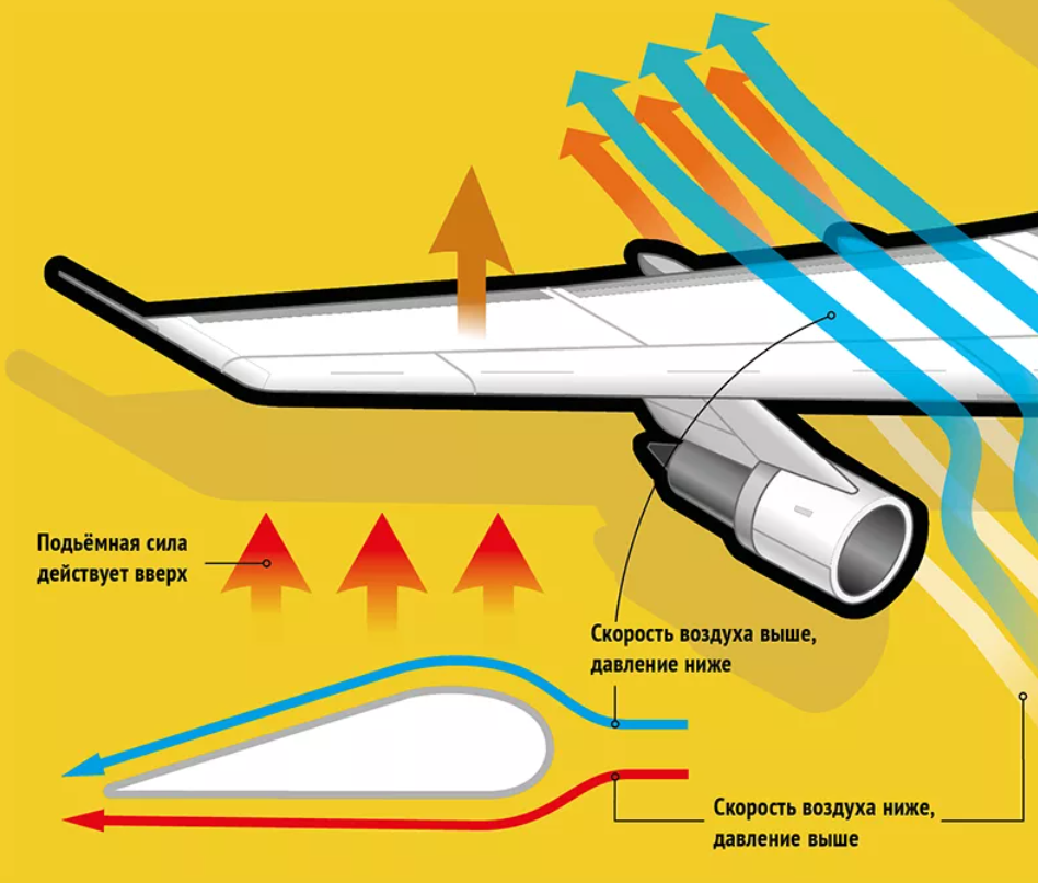 Увеличение воздушного потока. Аэродинамика крыла самолета подъемная сила. Принцип подъемной силы крыла самолета. Крыло самолета аэродинамика. Принцип работы крыла.