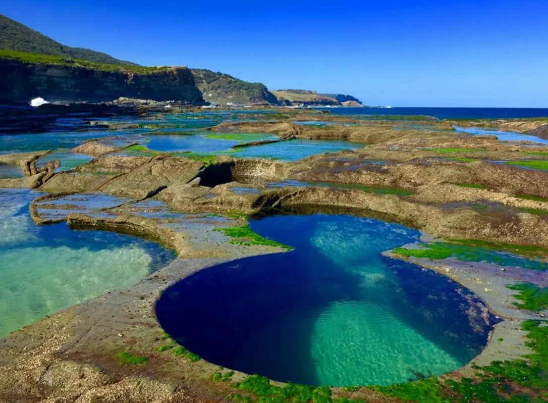 Королевский национальный парк (Royal National Park). Австралия Ройял парк. Figure 8 Pools, Королевский национальный парк (Австралия).. Королевский парк в Сиднее.