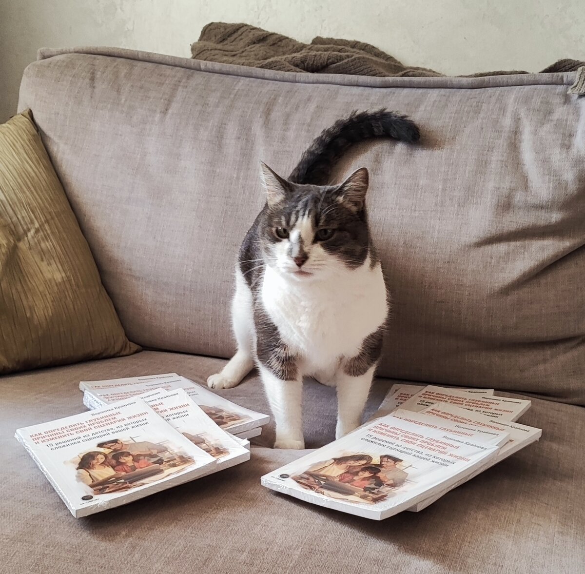 Кошечка Серафима презентует книгу