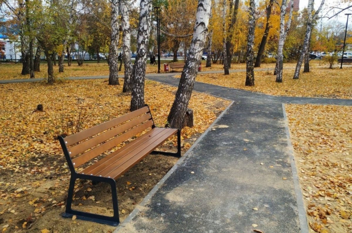    Дополнительные дорожки и качели-гнёзда появятся в челябинском сквере