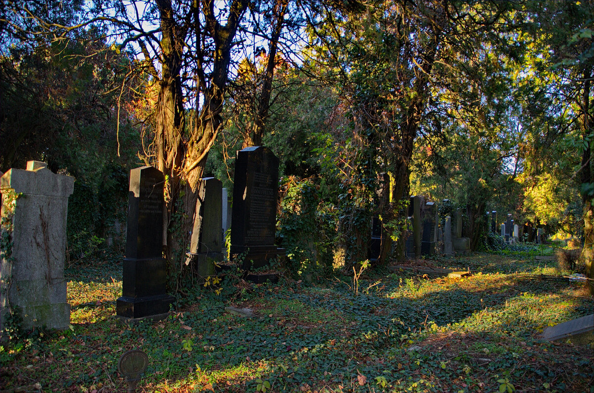 Изображение взято https://commons.wikimedia.org/wiki/File:013_-_Wien_Zentralfriedhof_2015_(22603854134).jpg