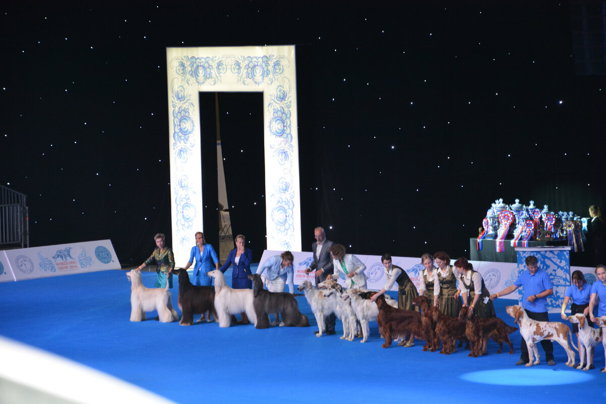 Всемирная выставка собак в Москве. Конкурс производителей.
