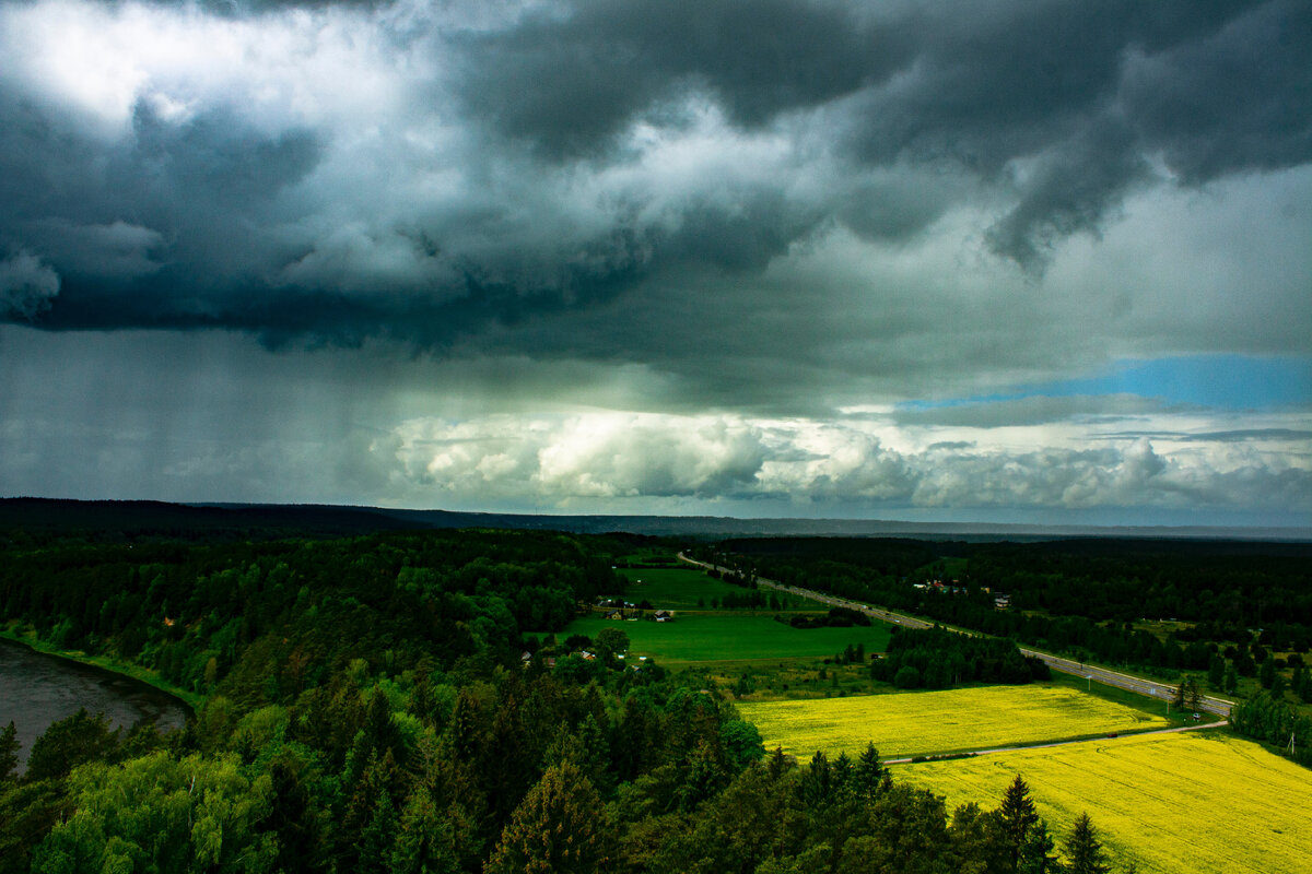 Картинка с бесплатного фотостока https://unsplash.com, автор Evaldas Grižas