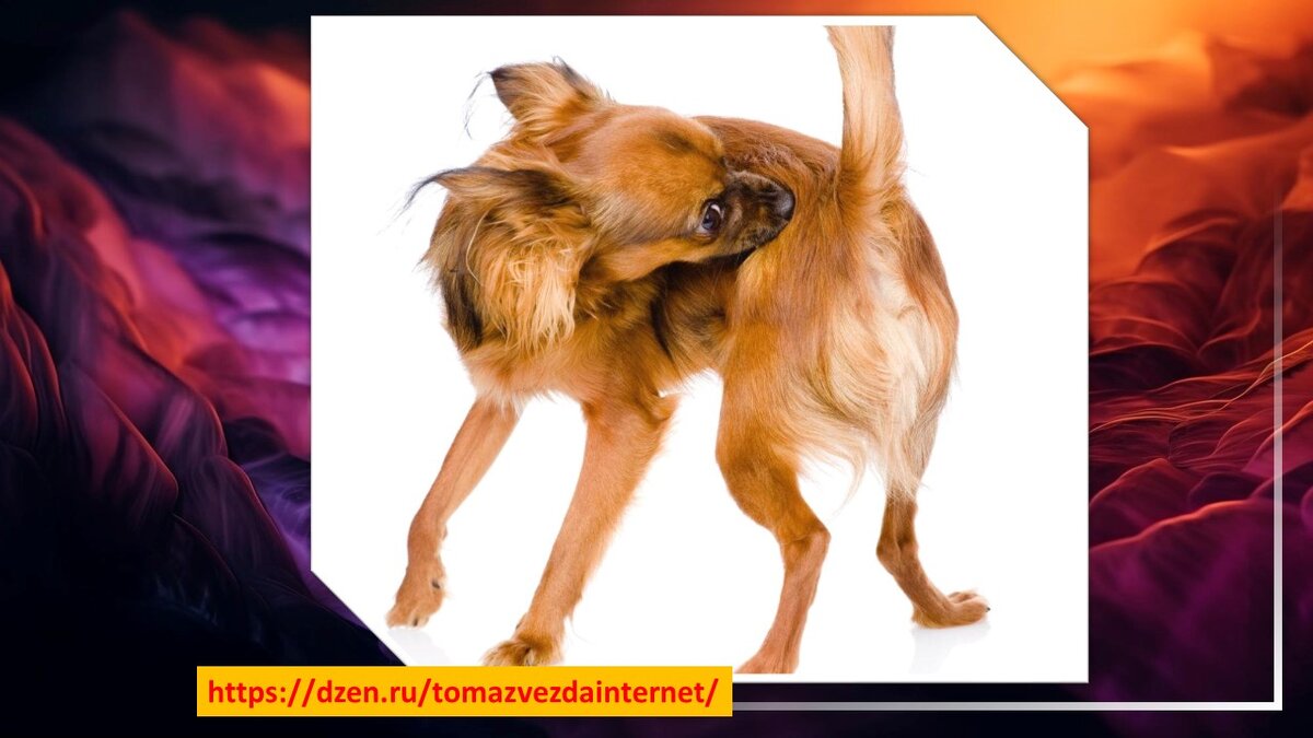 Из открытых источников