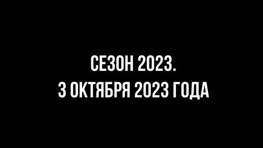 Чеснок. Предварительная сортировка, калибровка, отбор посадочного материала. Сезон 2023. 3 октября 2023 года