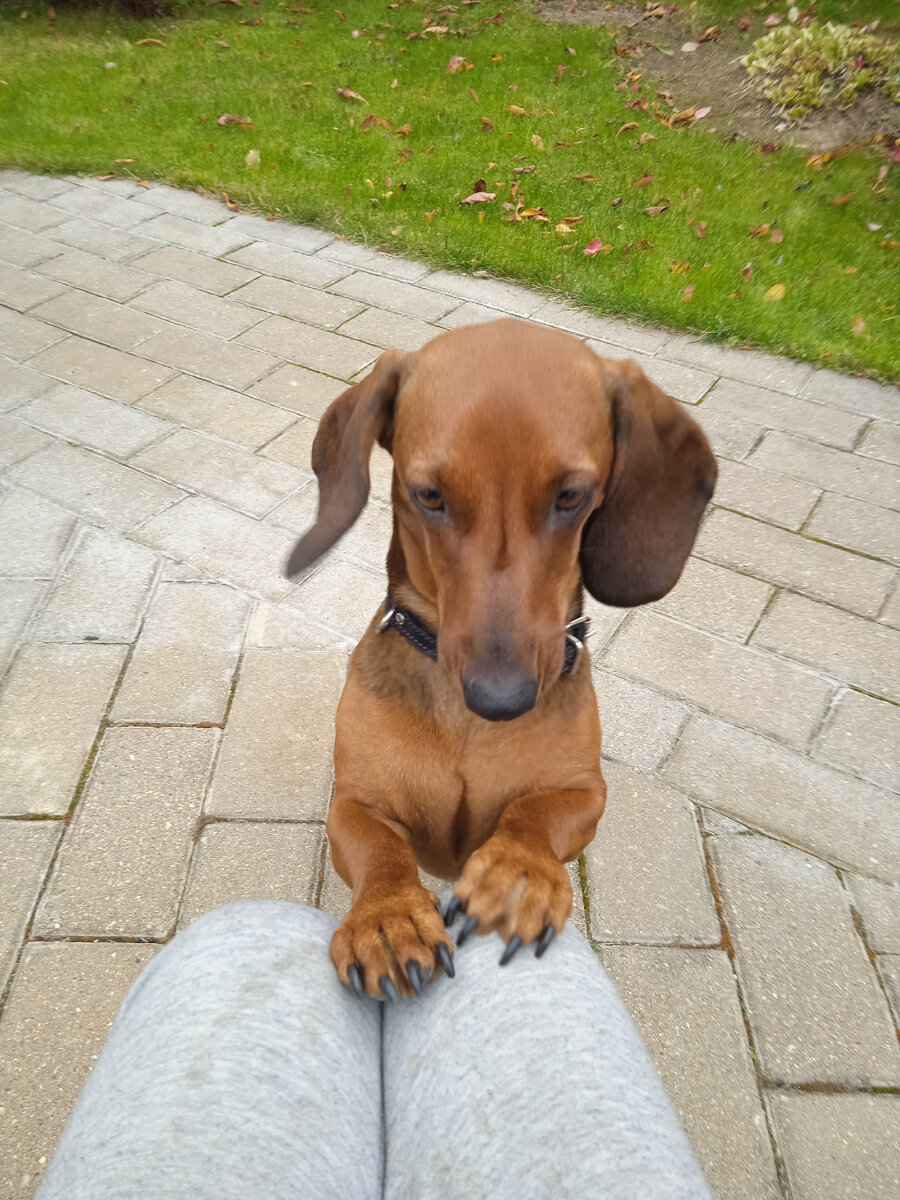 Я люблю людей