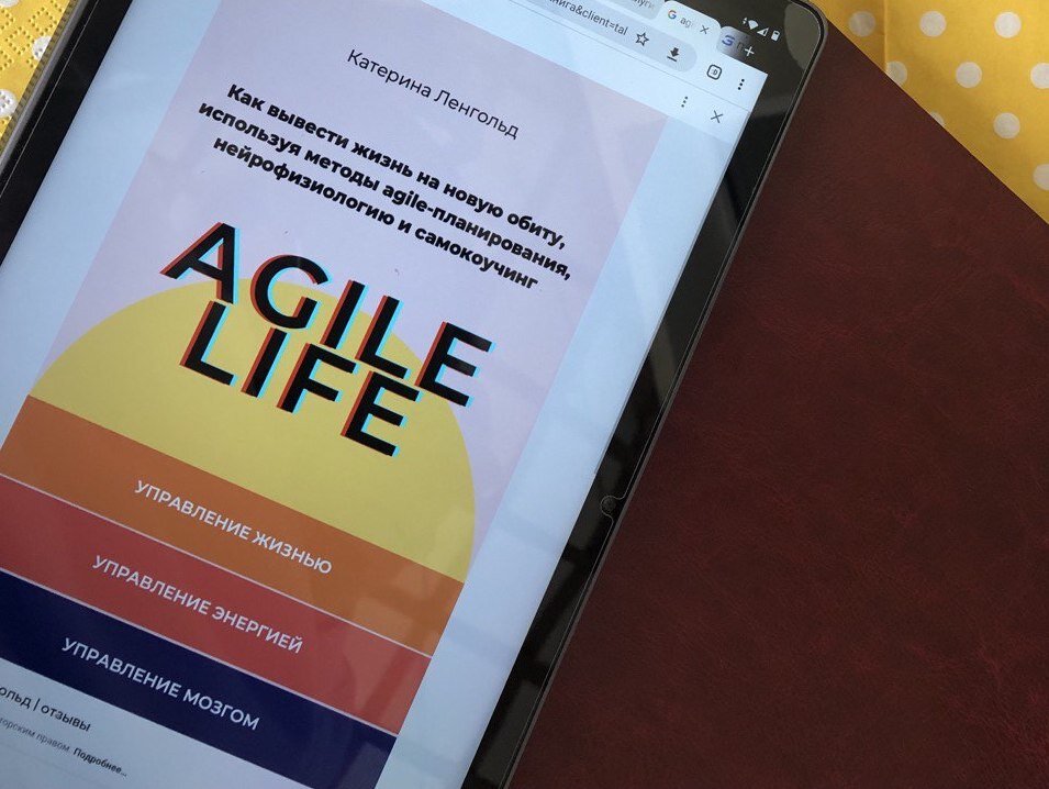 В этой книге подробно про спринты и методику Agile-life в целом